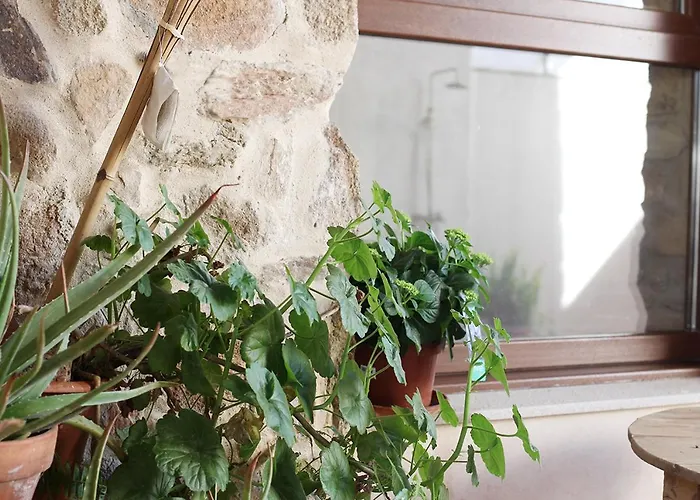 Apartamento El Reposo De La Grulla Perales del Puerto