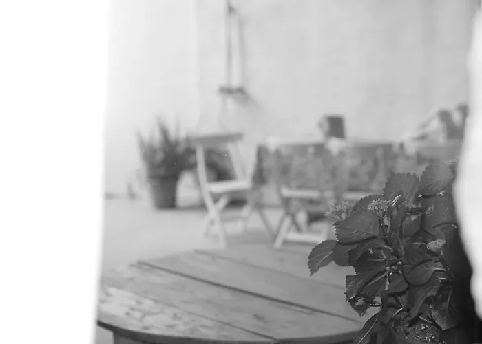 El Reposo De La Grulla Apartamento